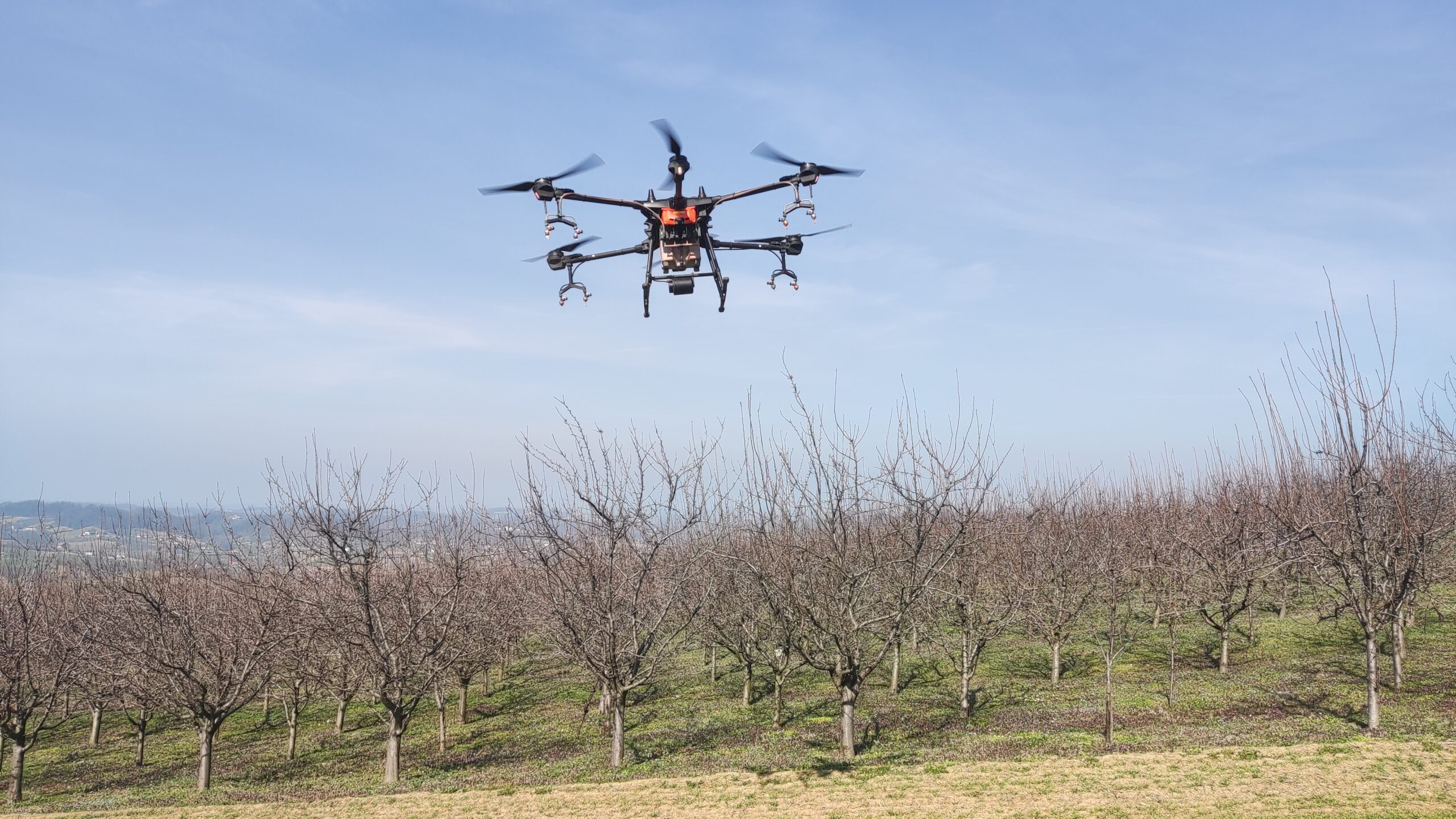Prskanje dronom u voćnjaku